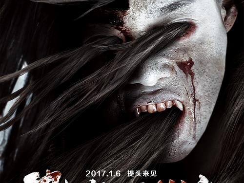 办理突尼斯